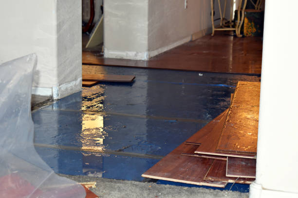 Professional Water Damage Restoration technician working in Winifrede, WV